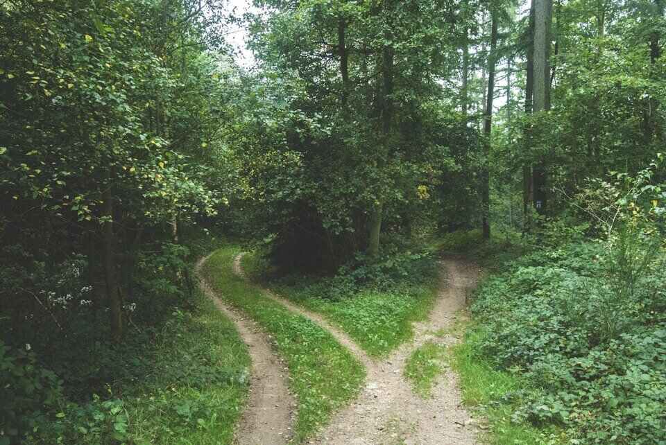 Phone psychic guidance for big life decisions